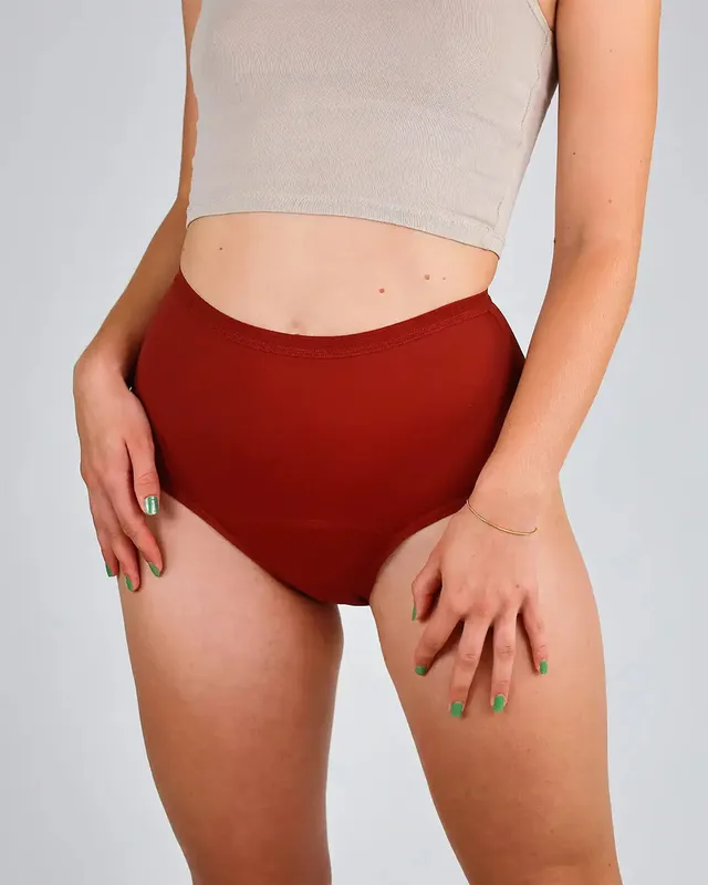mylily-high-waist-hagebutte-periodenunterw-sche-bio-baumwolle image 1