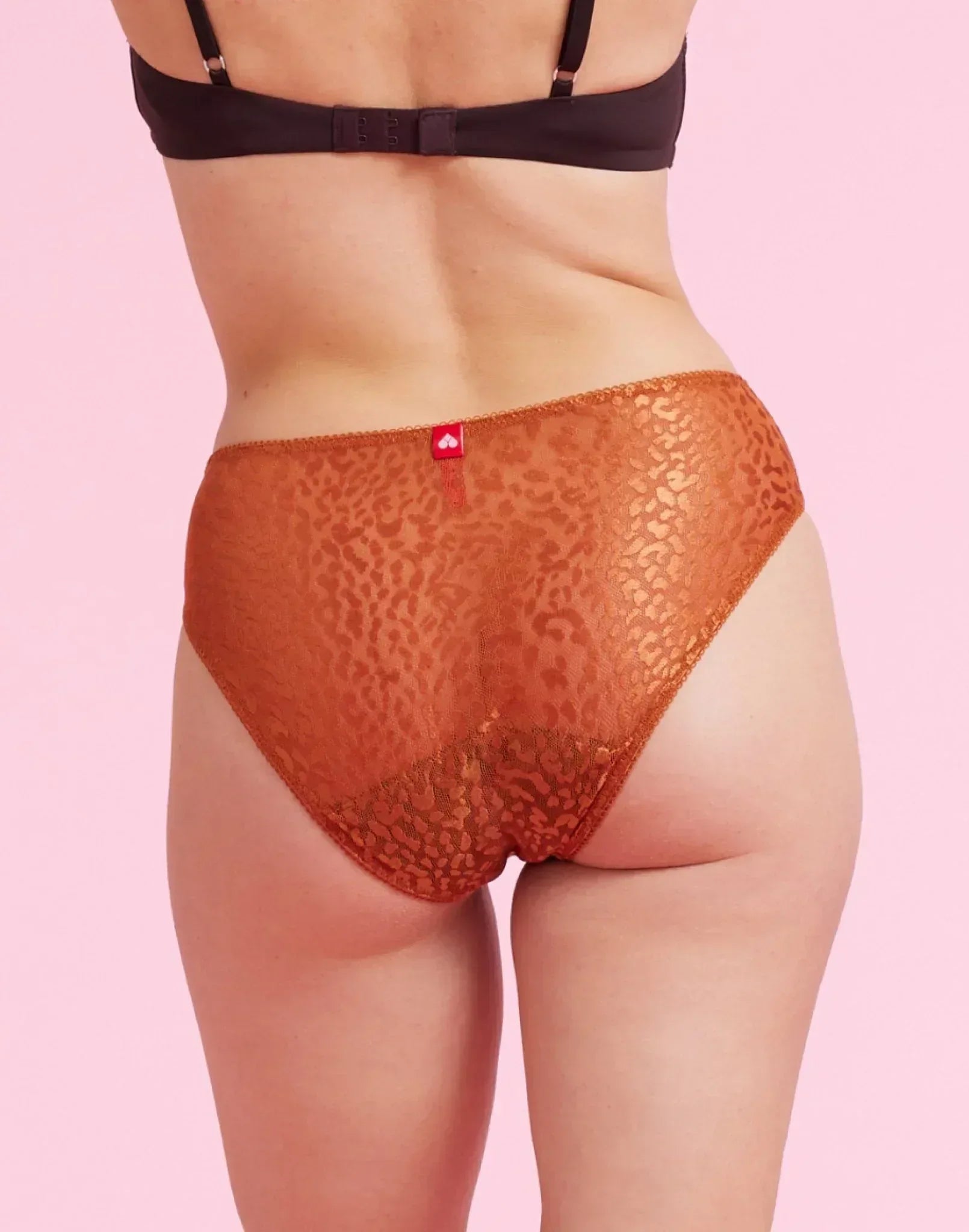the-female-company-leo-luxury-mesh-slip-extra-strong-period-panty image 8