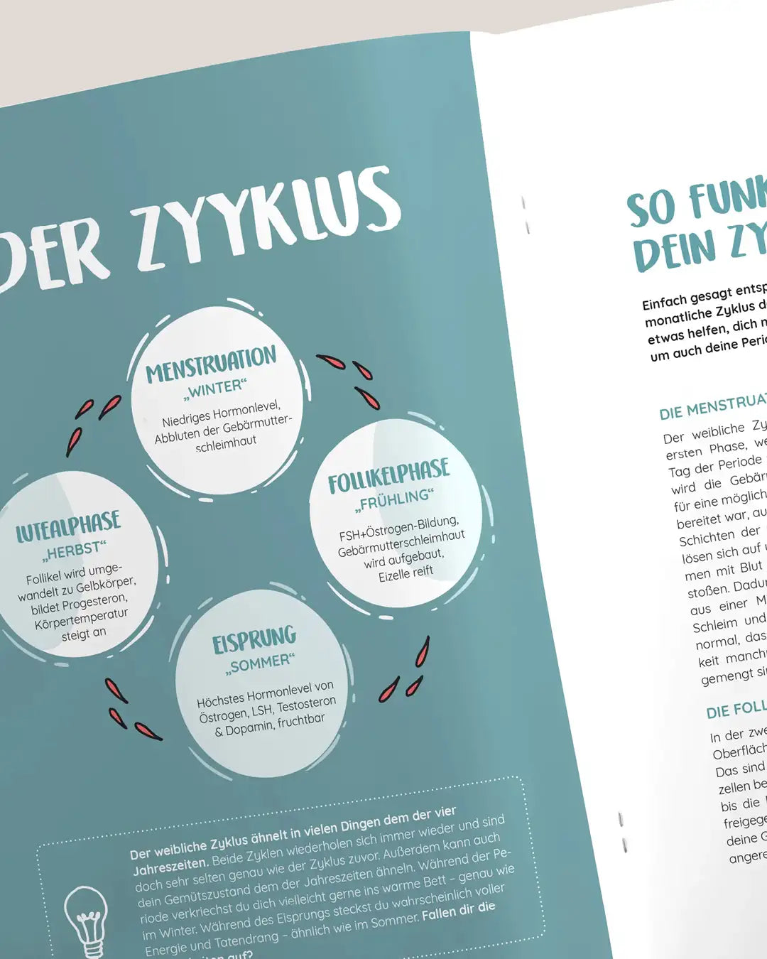 mylily-periodicle-aufkl-rungsmagazin-body-love-period-erste-periode image 2