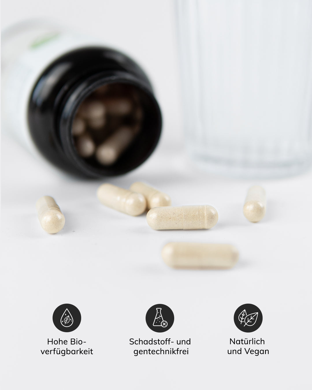 mylily-fembalance-m-nchspfeffer-maca-vitamin-b12-kapseln image 2