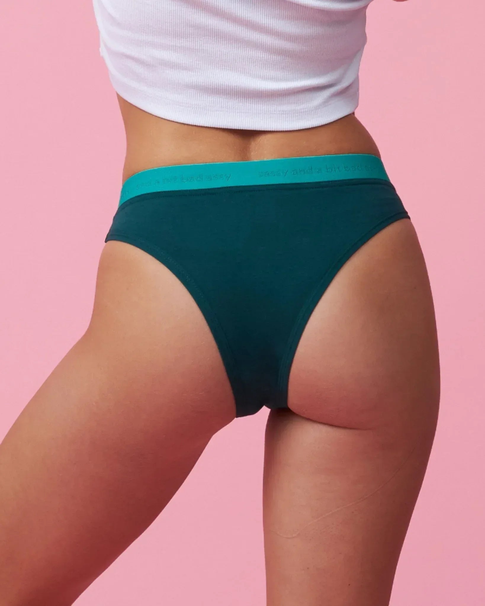 the-female-company-v-cut-brazilian-perioden-slip-medium image 2
