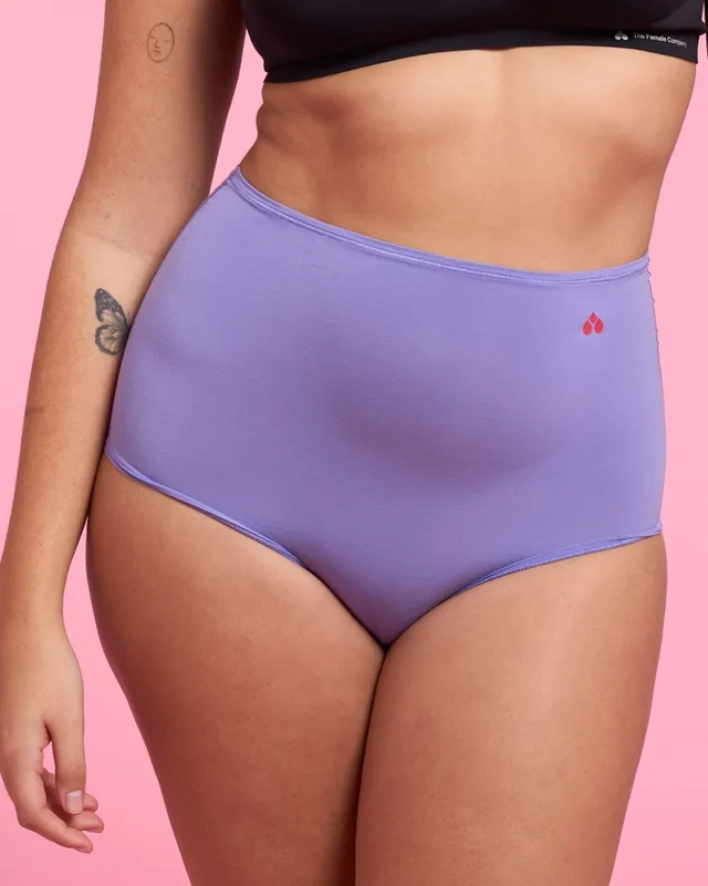 the-female-company-femstretch-high-waist-unterw-sche-3 image 1